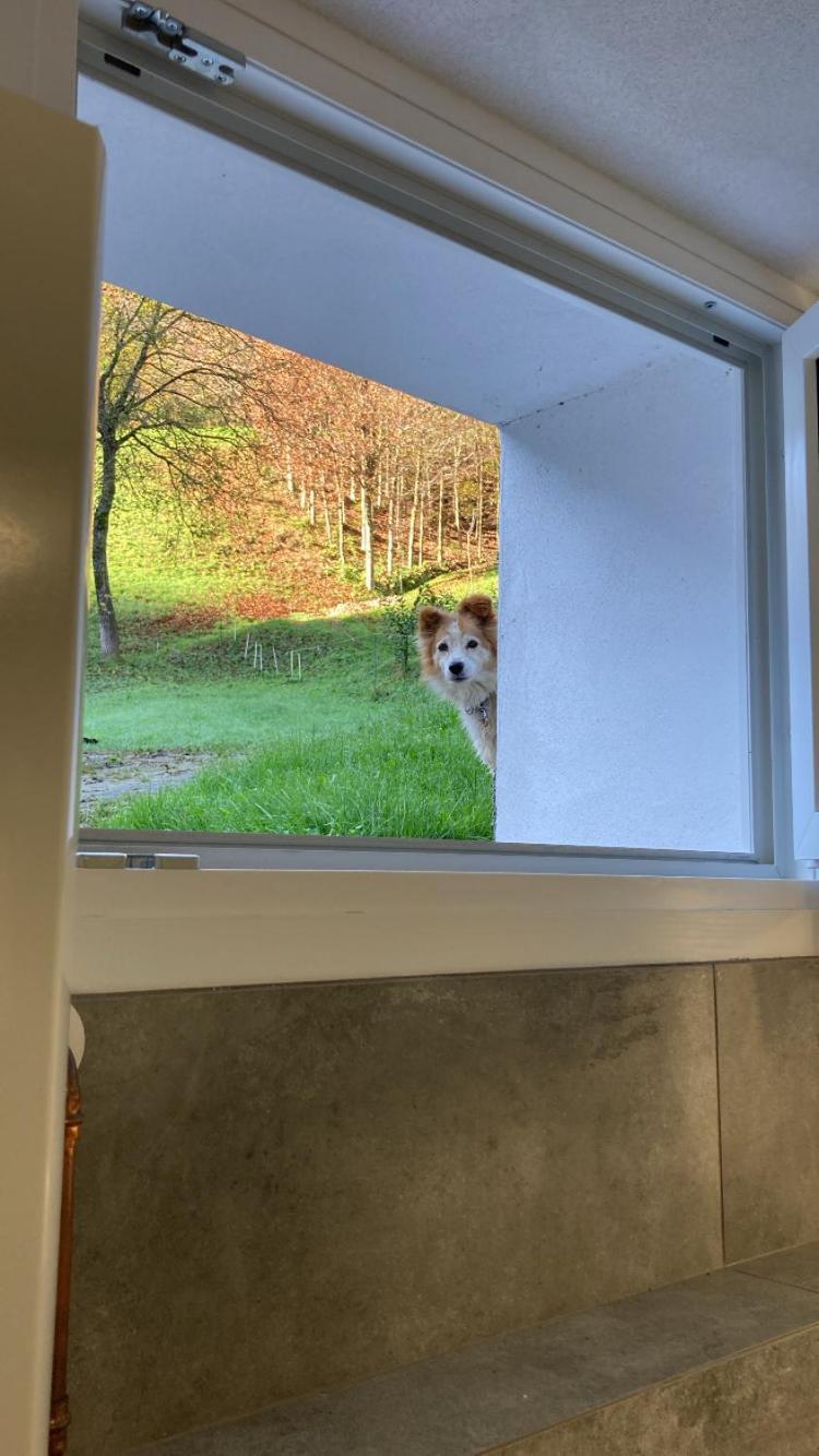Cascina Uertigher Gorno Dış mekan fotoğraf