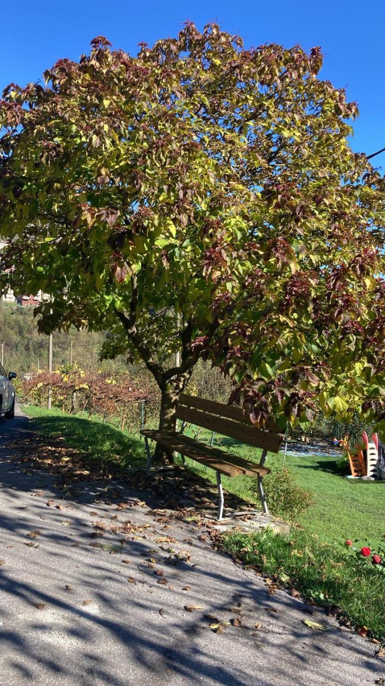 Cascina Uertigher Gorno Dış mekan fotoğraf